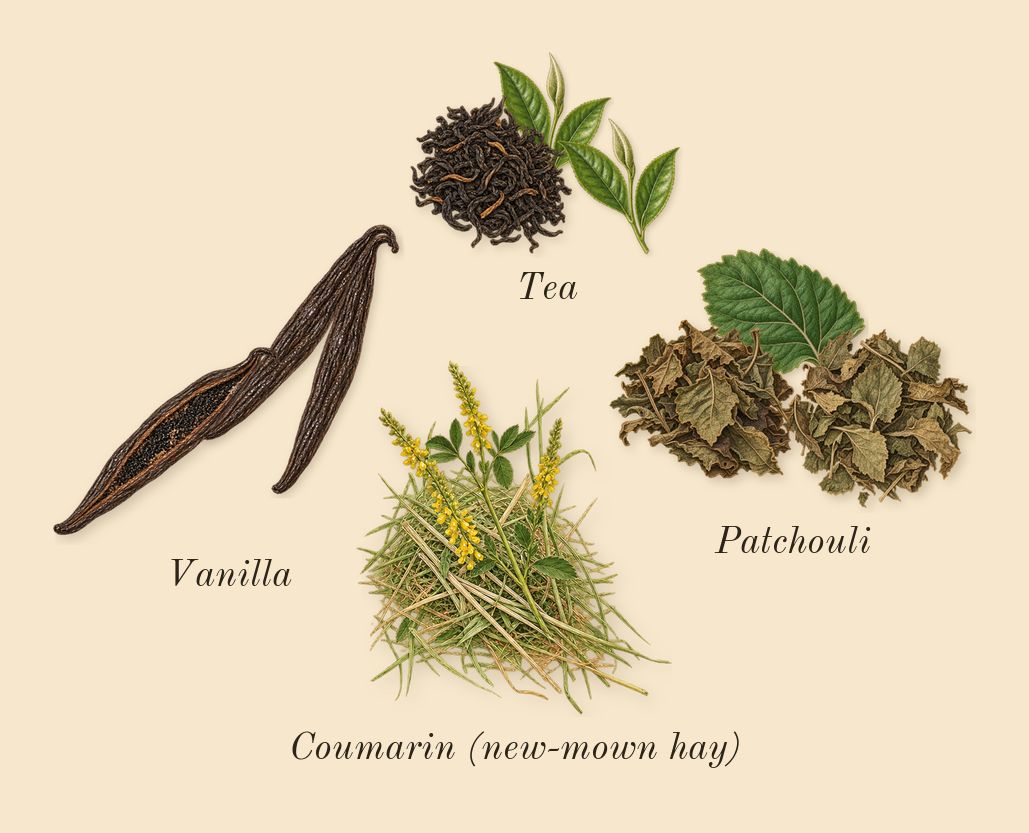 Sì, dry-down: Vanilla, Tea, Patchouli, Coumarin (new-mown hay)