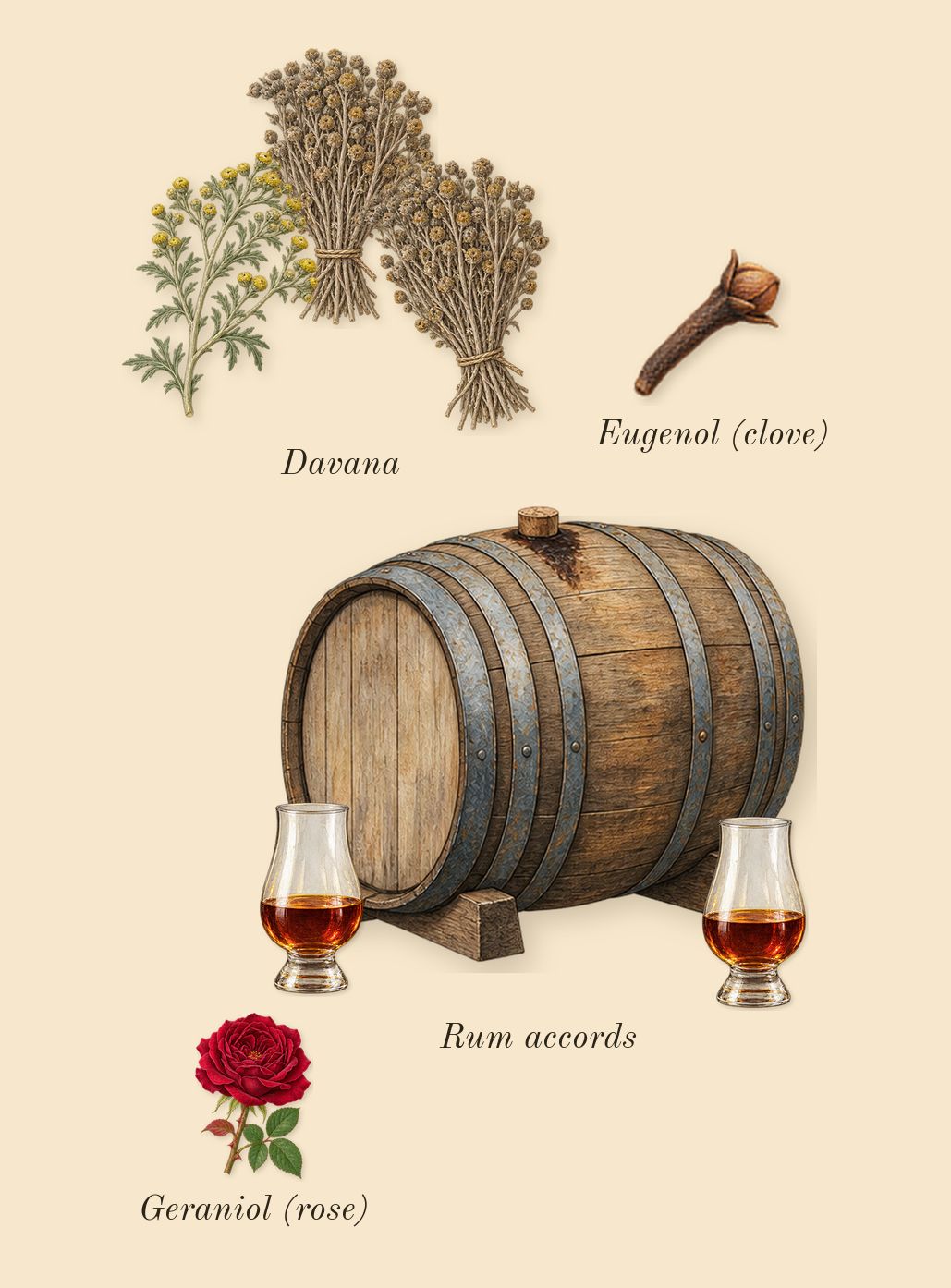 Stronger With You Absolutely, heart: Rum accords, Davana, Geraniol (rose), Eugenol (clove)