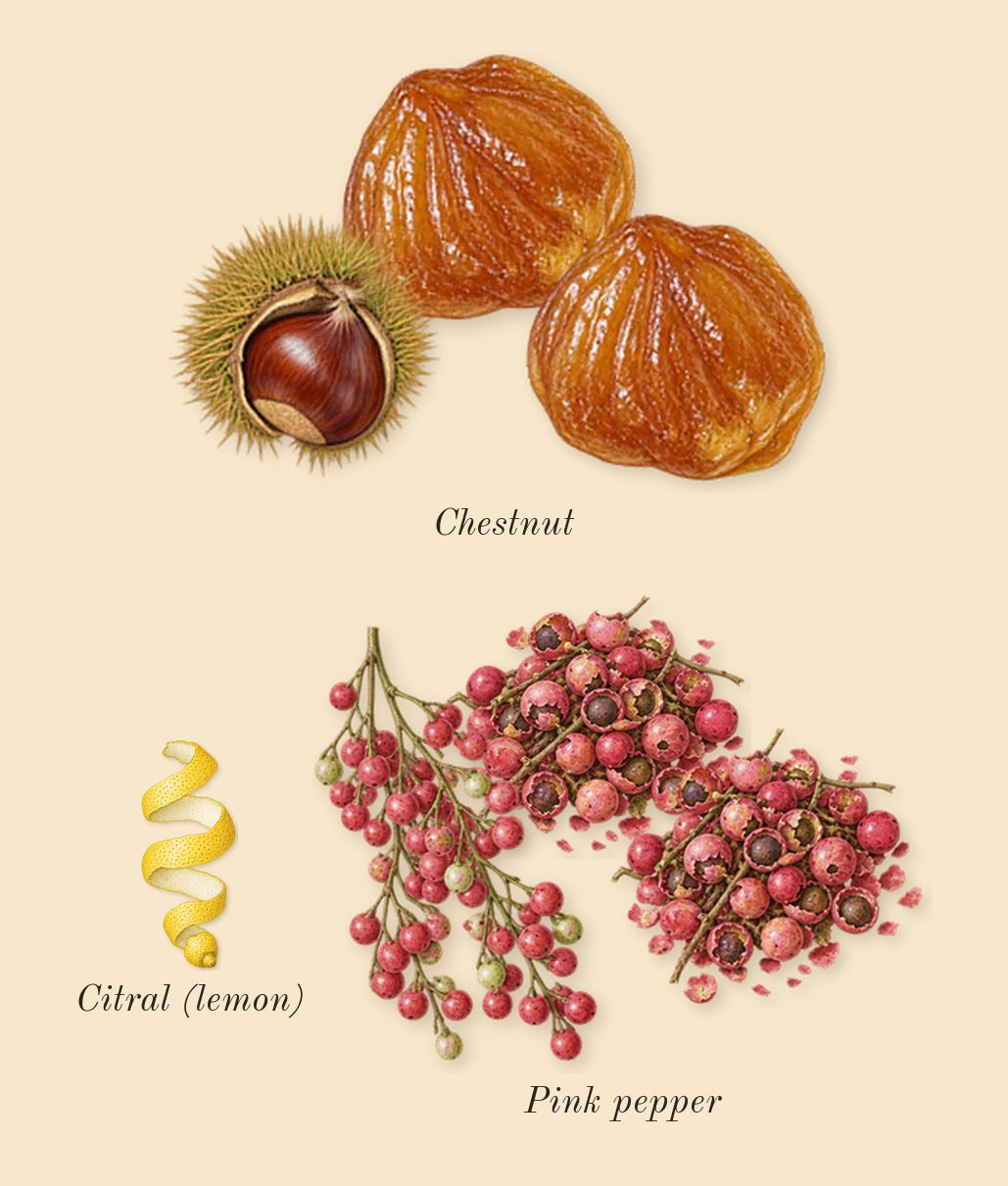 Stronger With You Intensely, top notes: Pink pepper, Chestnut, Citral (lemon)