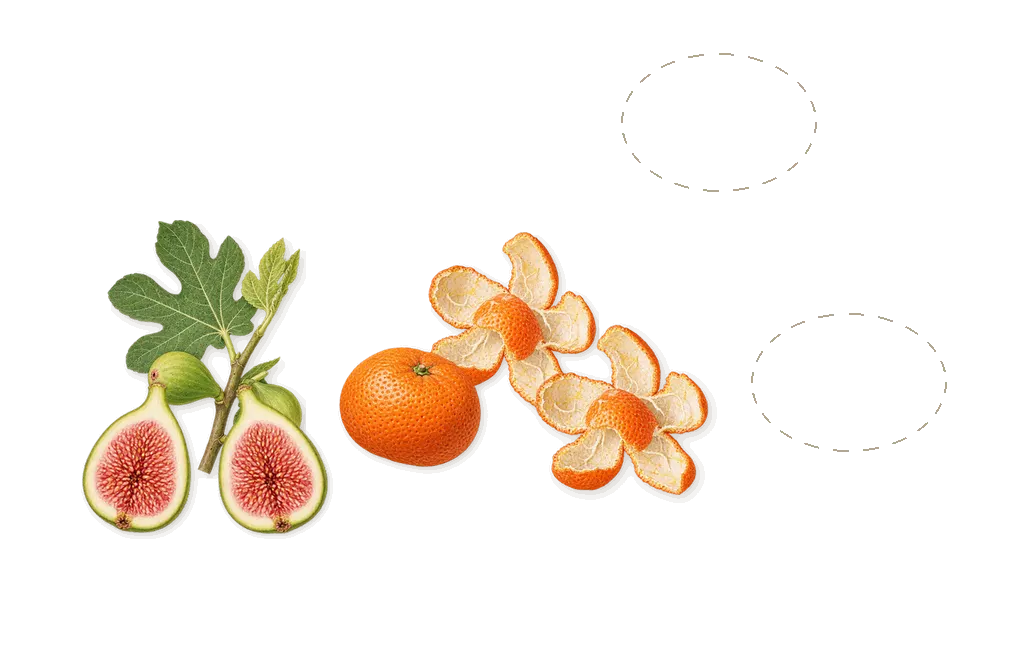 A Grove by the Sea, when you spray it: Fig, Black olive, Fleur de sel, Mandarin