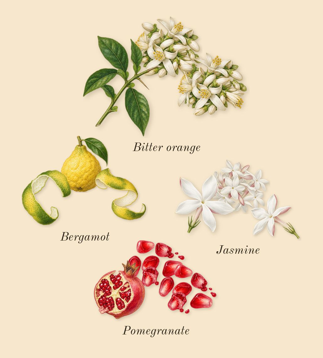 L'Or de Louis, top notes: Bitter orange, Pomegranate, Bergamot, Jasmine