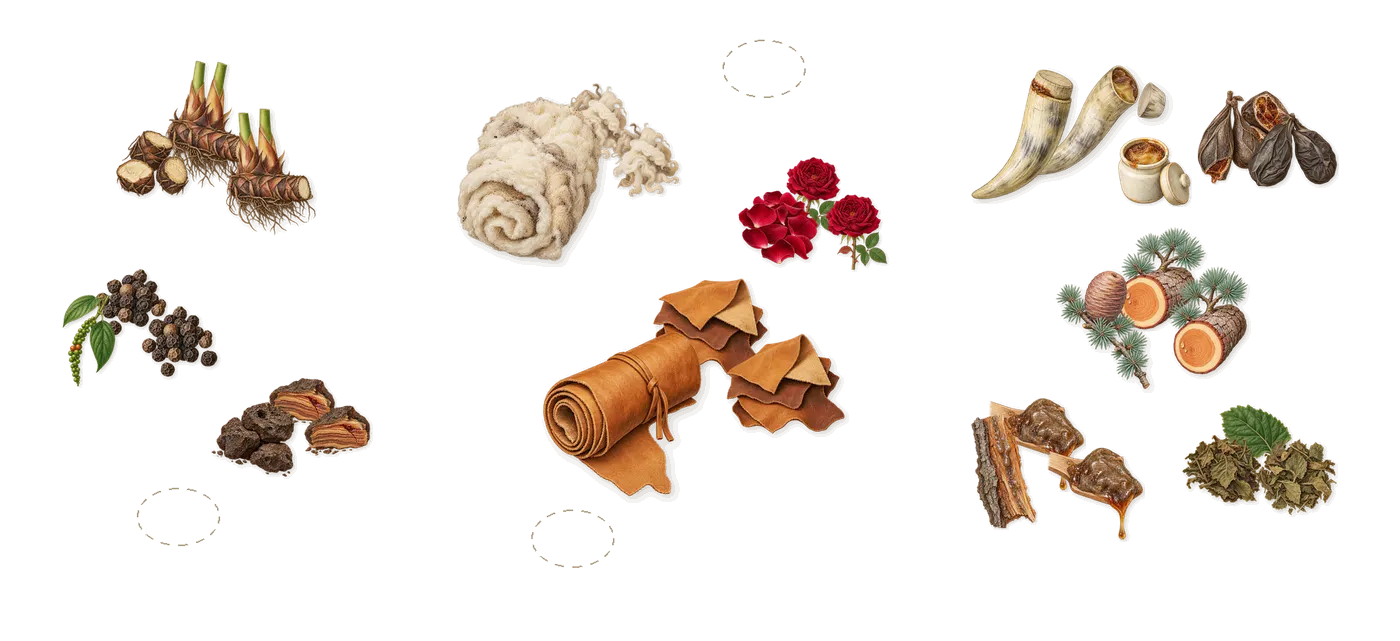 Nocturnality’s scent picture, a draft: papyrus, black pepper, hyraceum, rose, animalic notes, black leather drawn so far; dashed outlines where nothing is drawn yet
