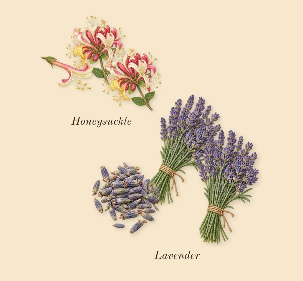 Ameerat Al Arab, heart: Honeysuckle, Lavender