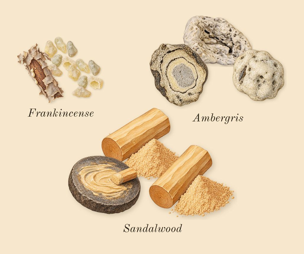 Ashore, dry-down: Ambergris, Frankincense, Sandalwood