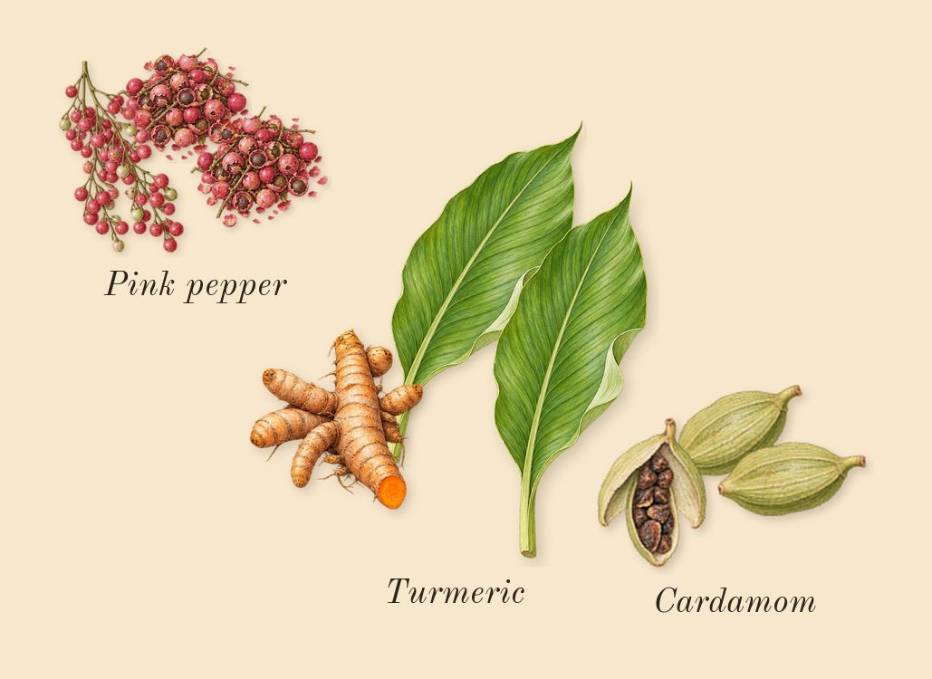 Ashore, top notes: Pink pepper, Cardamom, Turmeric