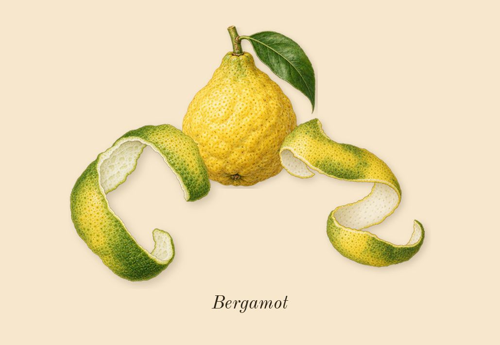 Chrome, top notes: Bergamot