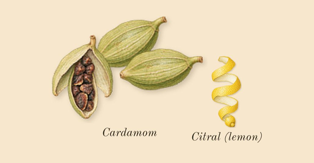 The Most Wanted, top notes: Cardamom, Citral (lemon)