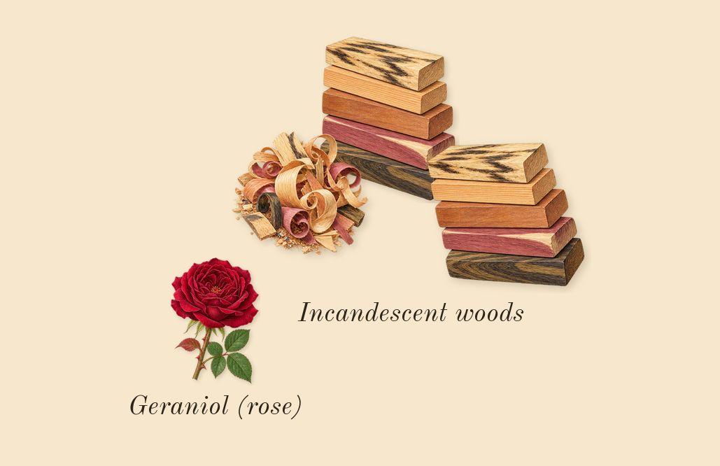 The Most Wanted, heart: Incandescent woods, Geraniol (rose)