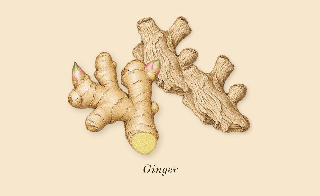 The Most Wanted, top notes: Ginger