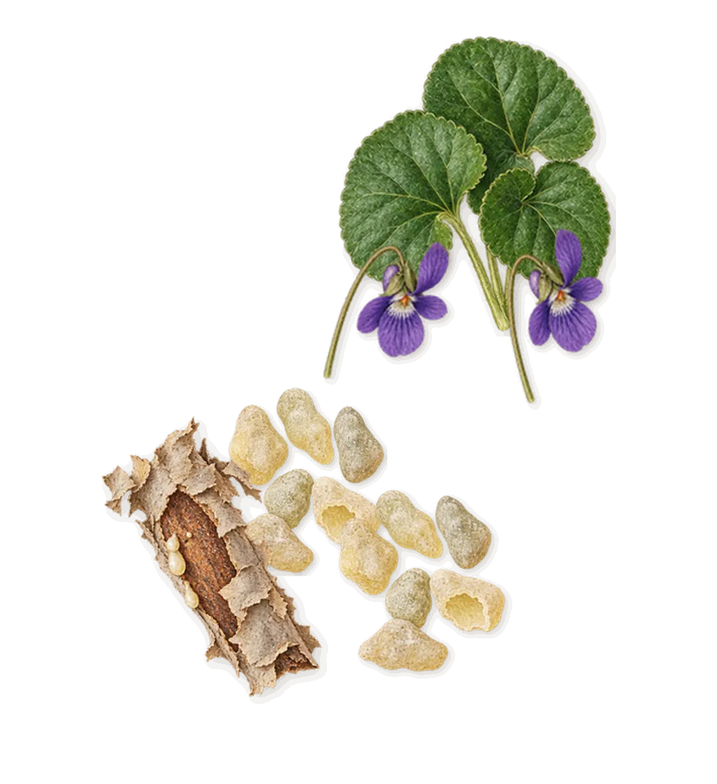 Le Dix, when you spray it: Violet, Frankincense