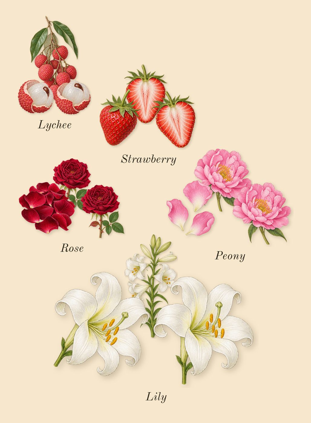 Destin de Balmain, heart: Strawberry, Peony, Rose, Lychee, Lily