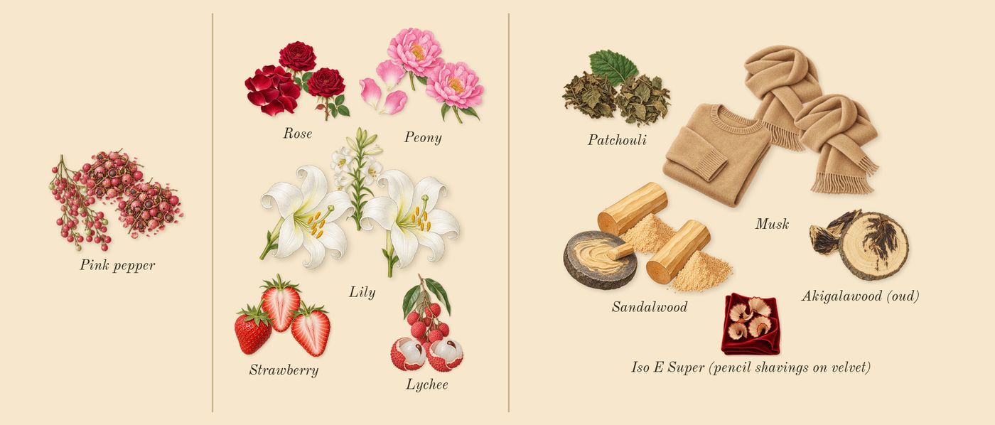 Destin de Balmain’s scent picture, a draft: strawberry, peony, sandalwood, patchouli, musk, rose drawn so far; dashed outlines where nothing is drawn yet