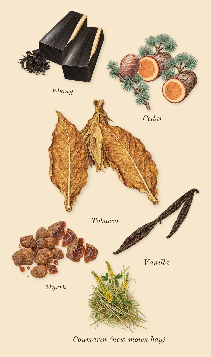Ébène, dry-down: Ebony, Myrrh, Tobacco, Cedar, Vanilla, Coumarin (new-mown hay)