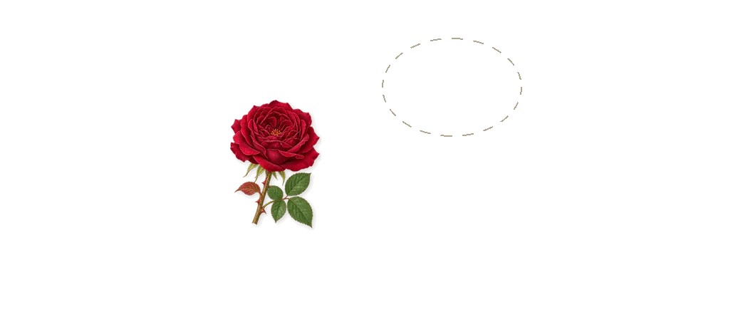 Hot Cotton, as it settles: Hot iron accord, Geraniol (rose)