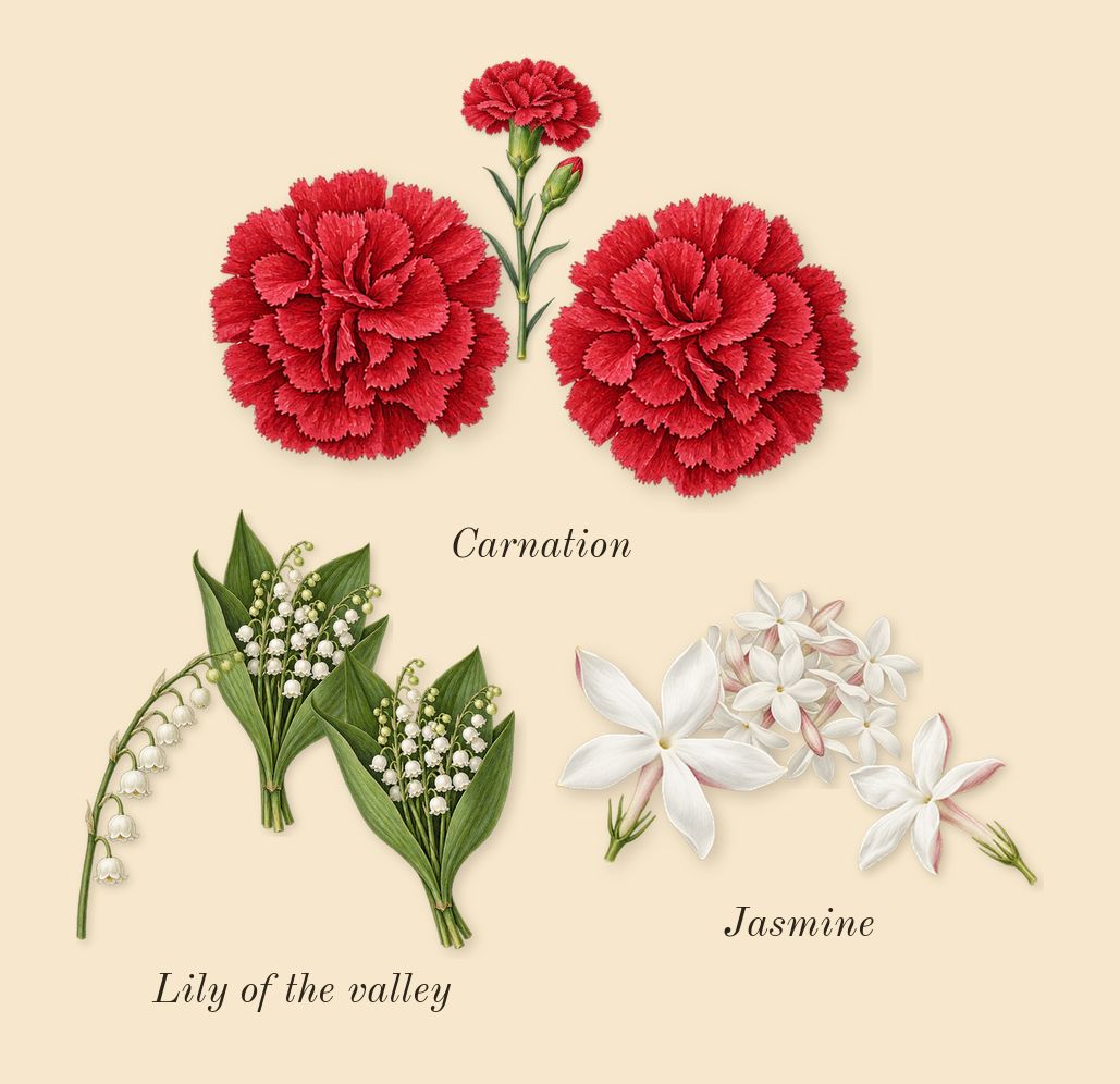 Brightest Bloom, heart: Lily of the valley, Jasmine, Carnation