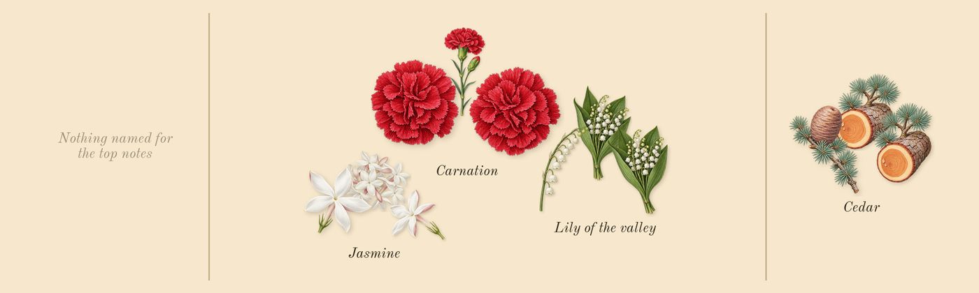 Brightest Bloom’s scent picture, a draft: lily of the valley, jasmine, carnation, cedar drawn so far; dashed outlines where nothing is drawn yet