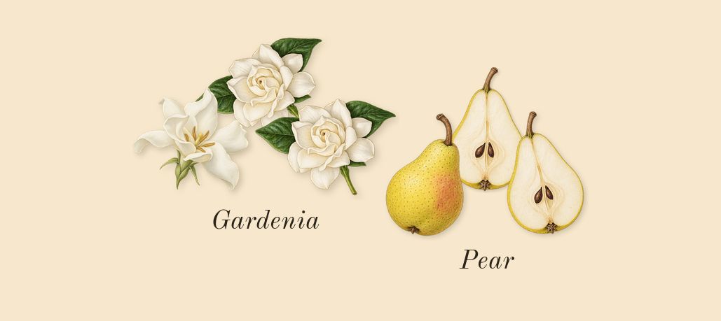 Dressed in White, heart: Pear, Gardenia