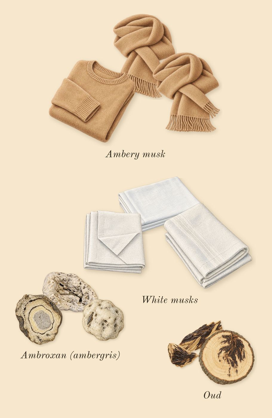 312 Saint-Honoré, dry-down: Ambroxan (ambergris), Ambery musk, Oud, White musks