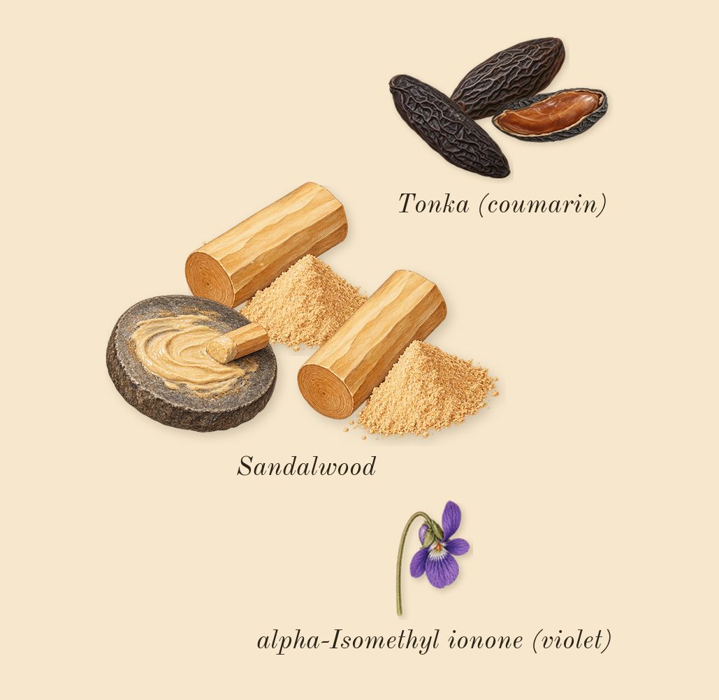 Gris Charnel, dry-down: Sandalwood, Tonka (coumarin), alpha-Isomethyl ionone (violet)