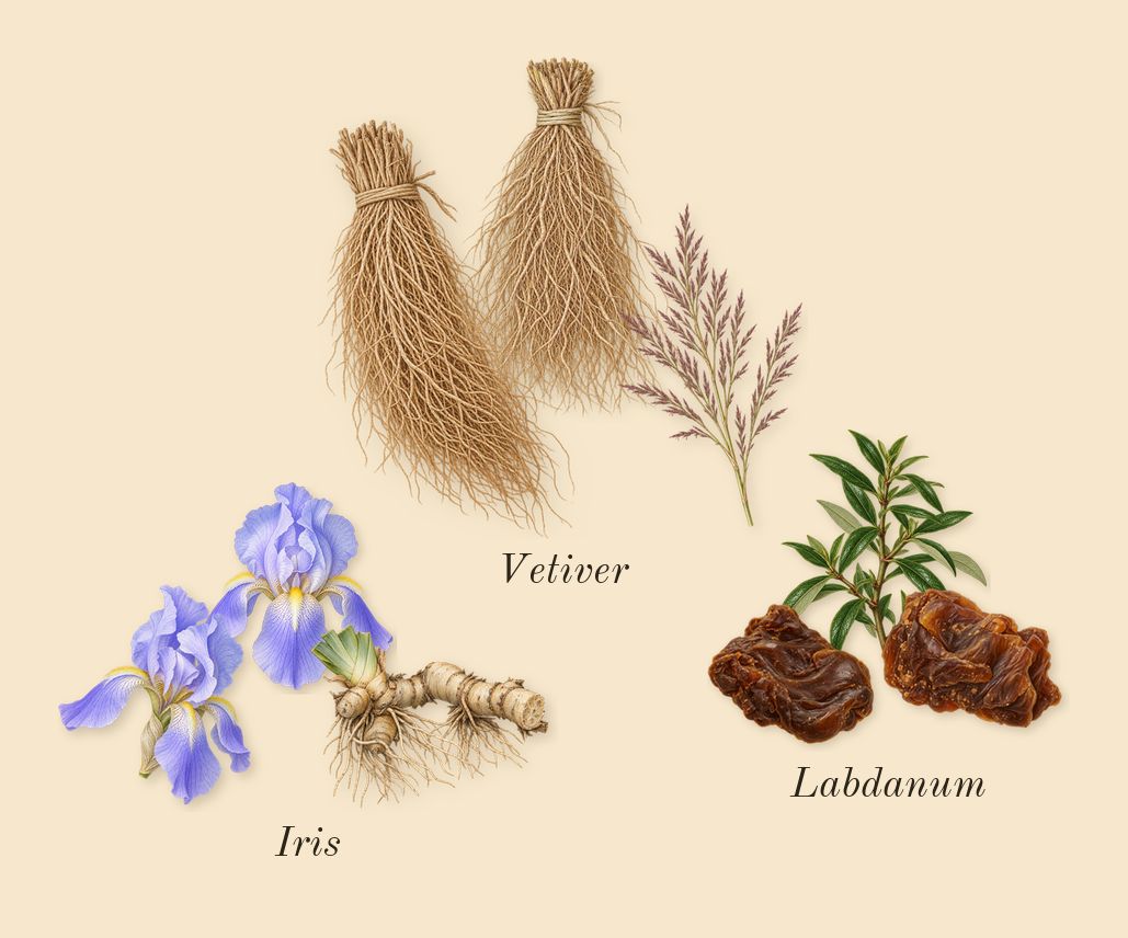 Gris Charnel, heart: Iris, Vetiver, Labdanum