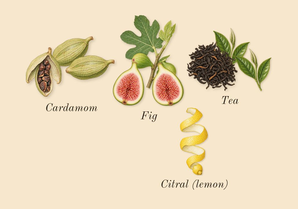 Gris Charnel, top notes: Fig, Tea, Cardamom, Citral (lemon)