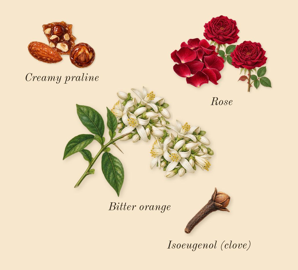 Impadia, heart: Rose, Bitter orange, Creamy praline, Isoeugenol (clove)