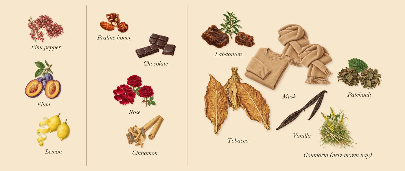 Tabac Rose’s scent picture, a draft: pink pepper, plum, lemon, rose, cinnamon, chocolate drawn so far; dashed outlines where nothing is drawn yet