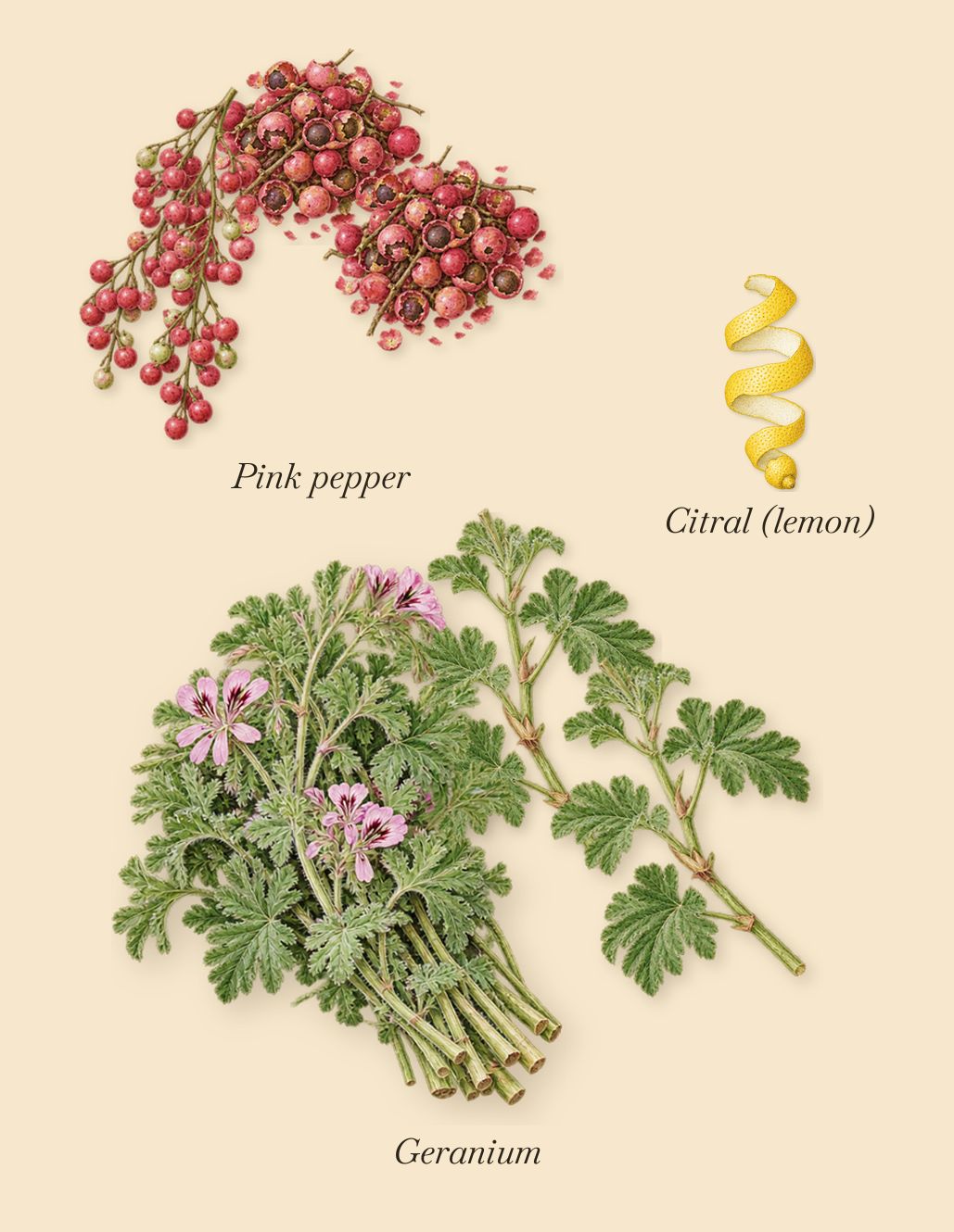 Tubéreuse Impériale, when you spray it: Pink pepper, Geranium, Citral (lemon)