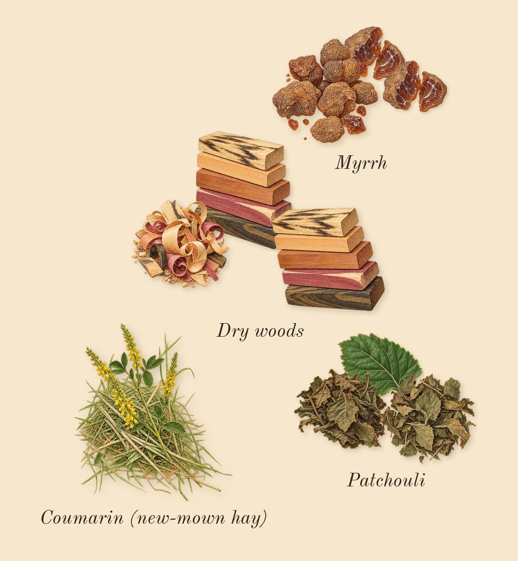 Beach Hut Man, dry-down: Patchouli, Myrrh, Dry woods, Coumarin (new-mown hay)