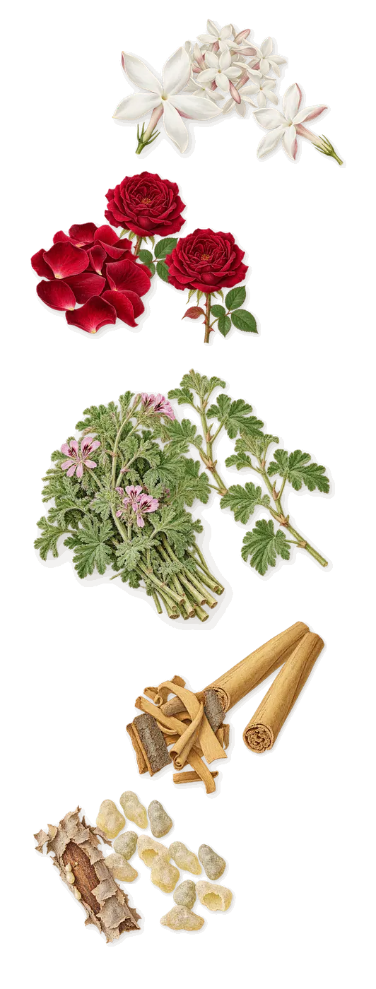Acrasia, as it settles: Cinnamon, Frankincense, Rose, Geranium, Jasmine