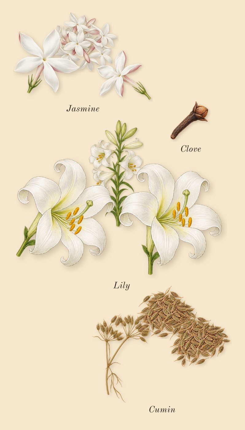 Fathom V, heart: Lily, Jasmine, Cumin, Clove