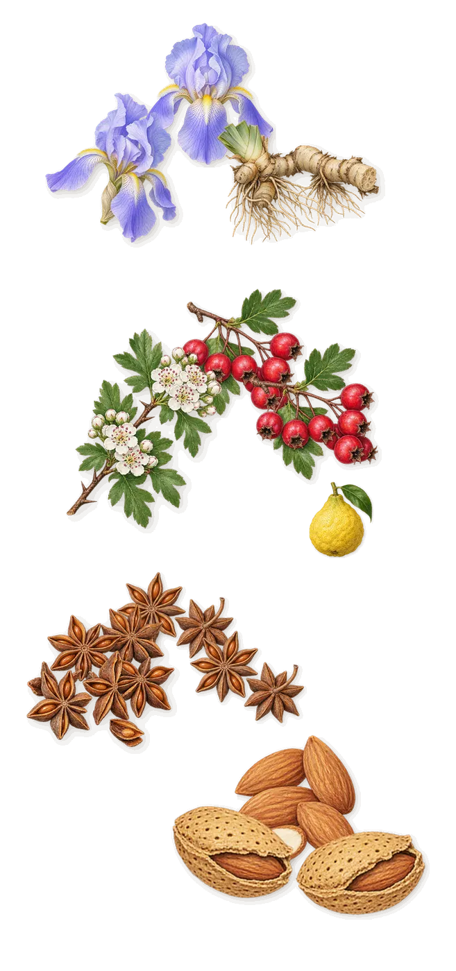 Sirenide, when you spray it: Iris, Hawthorn, Almond, Anise, Bergamot