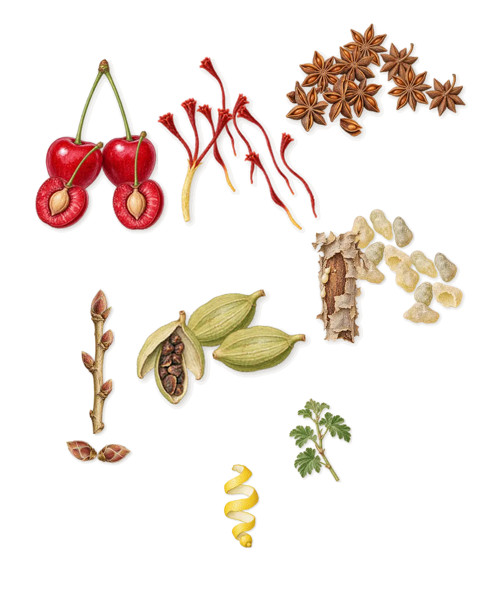 Sunken Tobacco, when you spray it: Anise, Cardamom, Saffron, Cherry, Frankincense, Blackcurrant, Geranium, Citral (lemon)