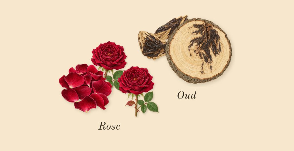 Honey Oud, heart: Rose, Oud