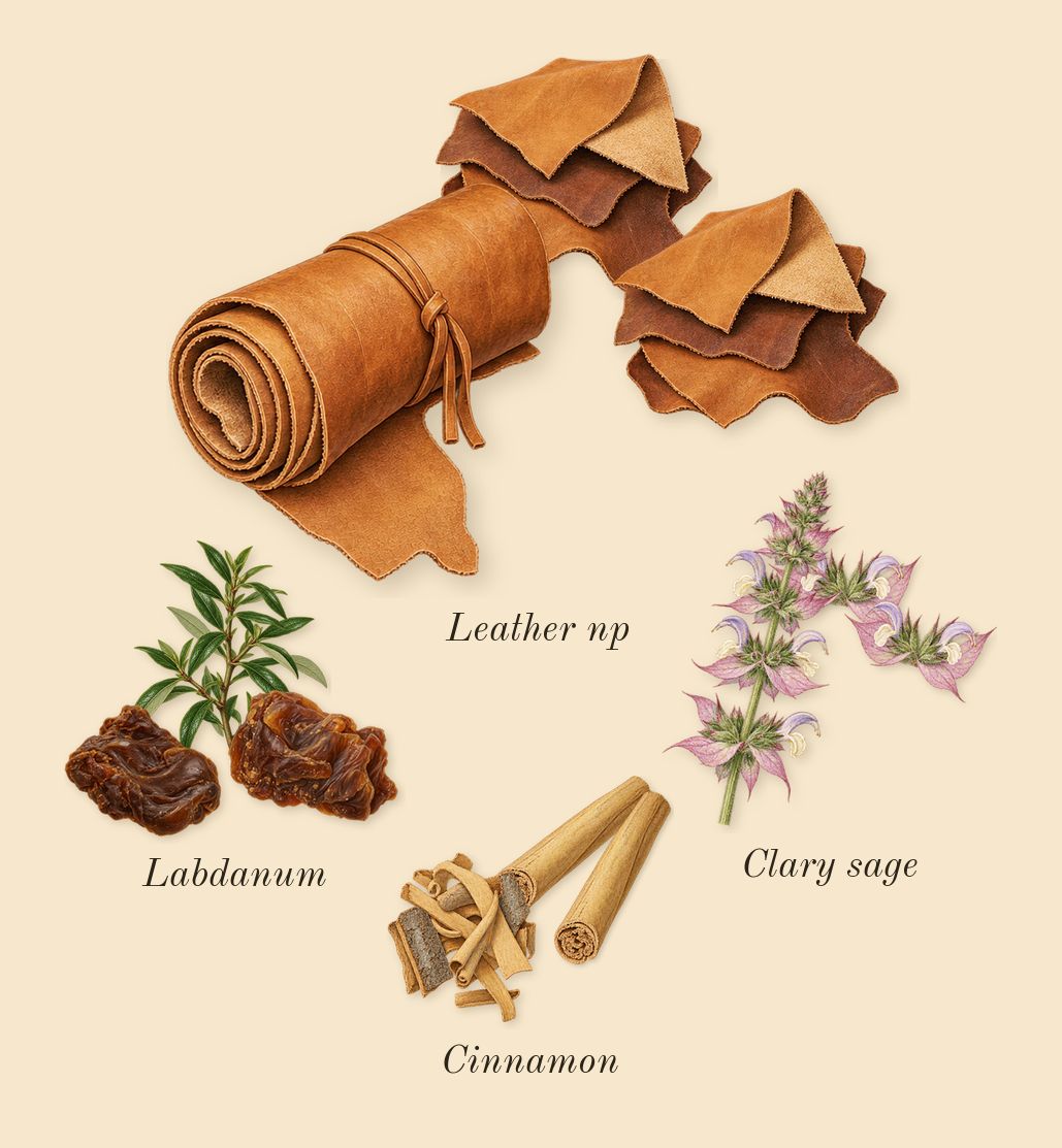 For Men Intense, heart: Leather np, Labdanum, Clary sage, Cinnamon