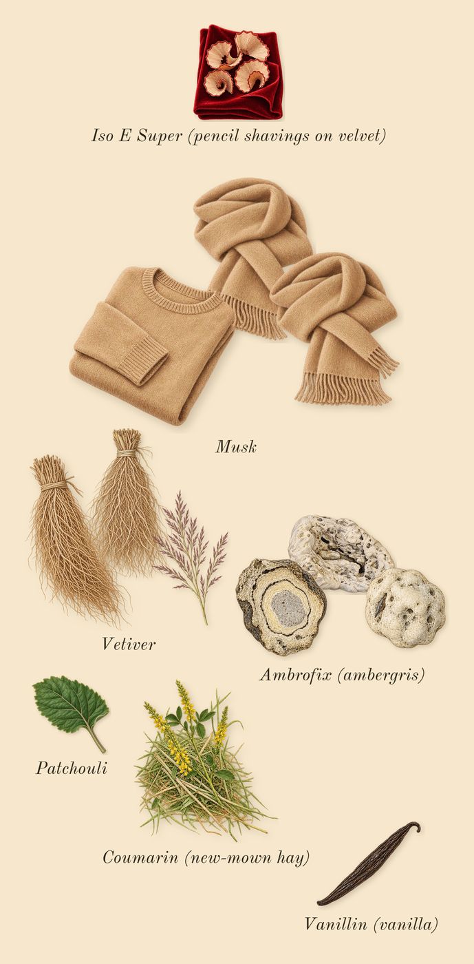 Summer Mink, dry-down: Vetiver, Ambrofix (ambergris), Musk, Patchouli, Iso E Super (pencil shavings on velvet), Coumarin (new-mown hay), Vanillin (vanilla)