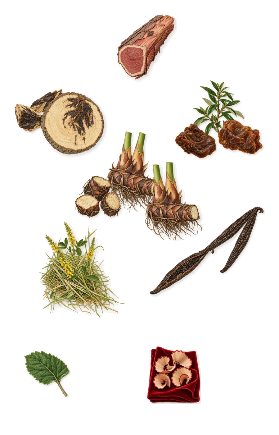 Deep Lotus, what stays: Labdanum, Vanilla (vanillin), Papyrus, Oud, Virginia cedar, Patchouli, Iso E Super (pencil shavings on velvet), Coumarin (new-mown hay)