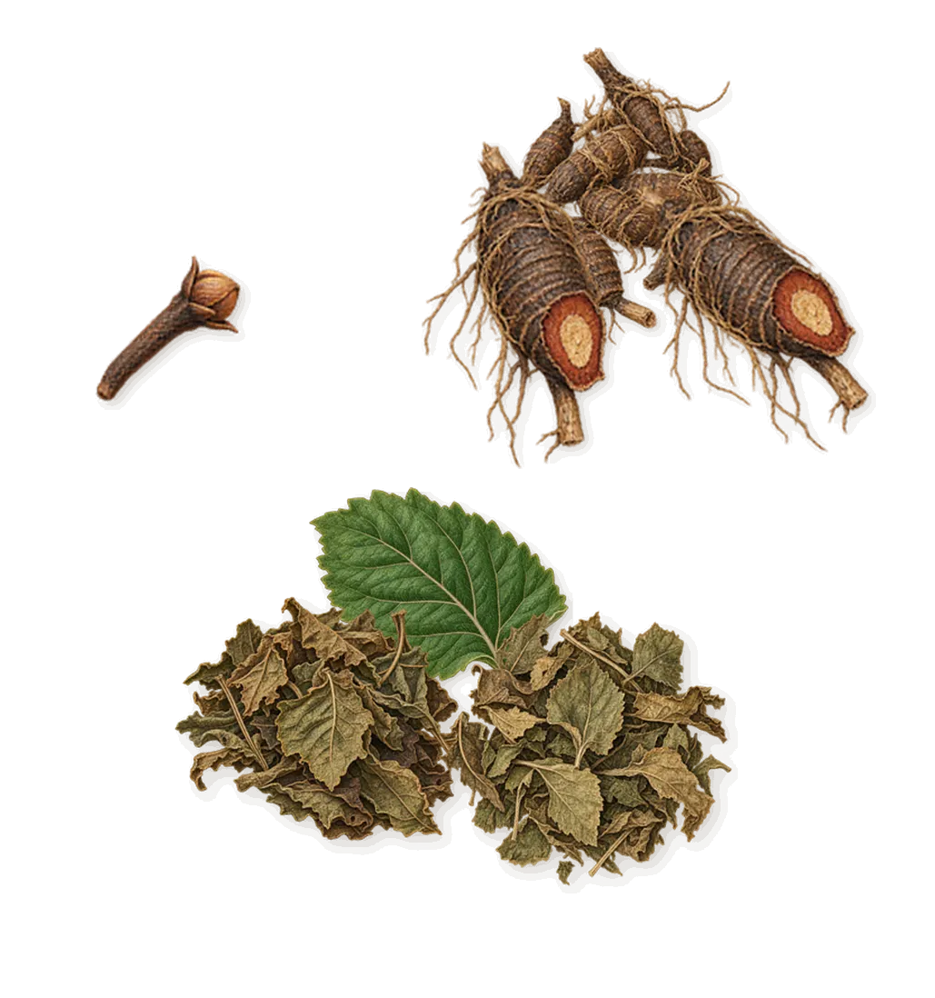 House of Arthur, as it settles: Cypriol, Patchouli, Eugenol (clove)