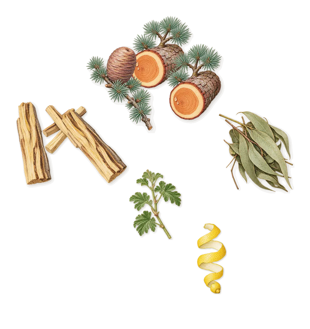 House of Arthur, when you spray it: Palo santo, Cedar, Eucalyptus, Geranium, Citral (lemon)