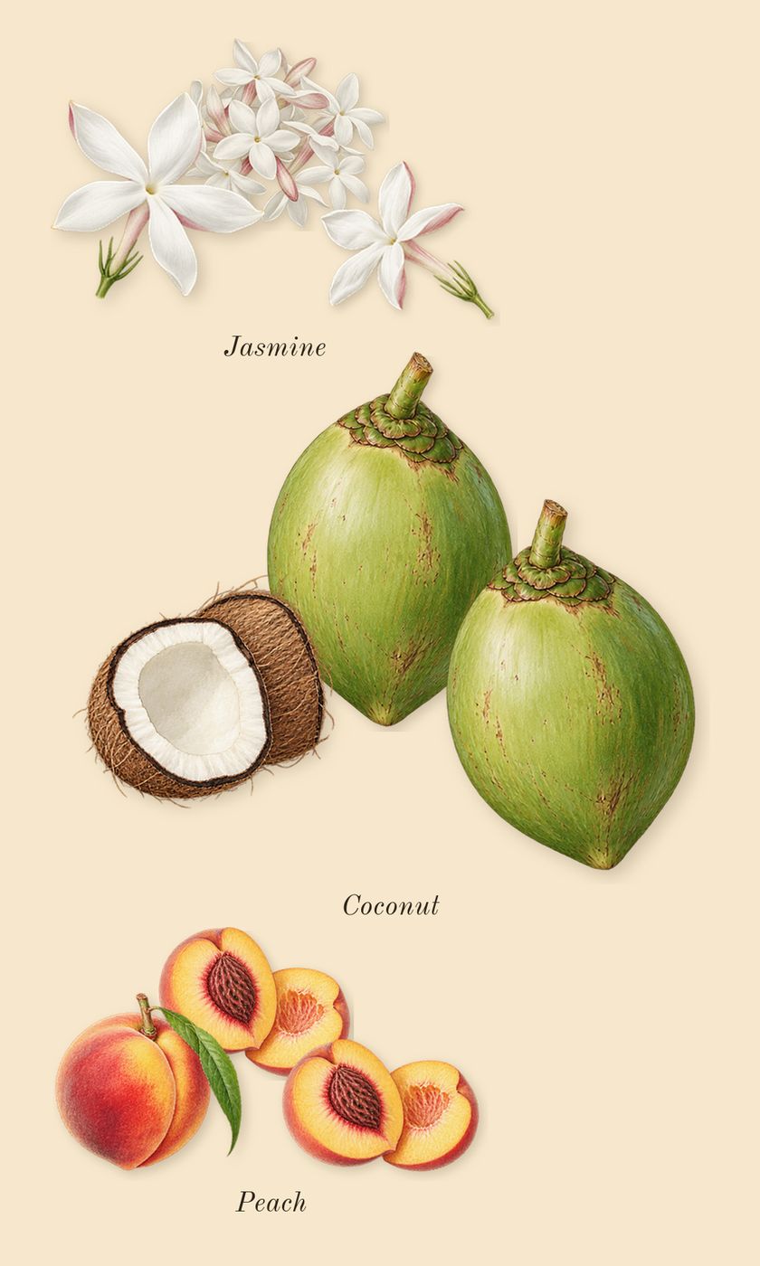 Your Turn, heart: Peach, Jasmine, Coconut