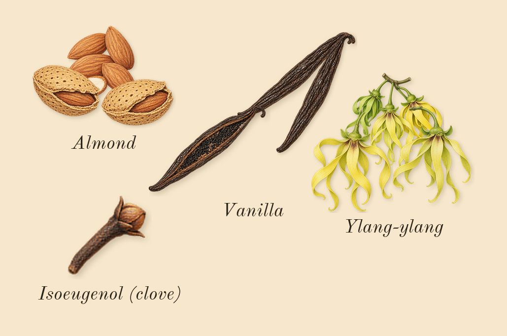 Blossom Love, heart: Ylang-ylang, Gourmand notes, Vanilla, Isoeugenol (clove)