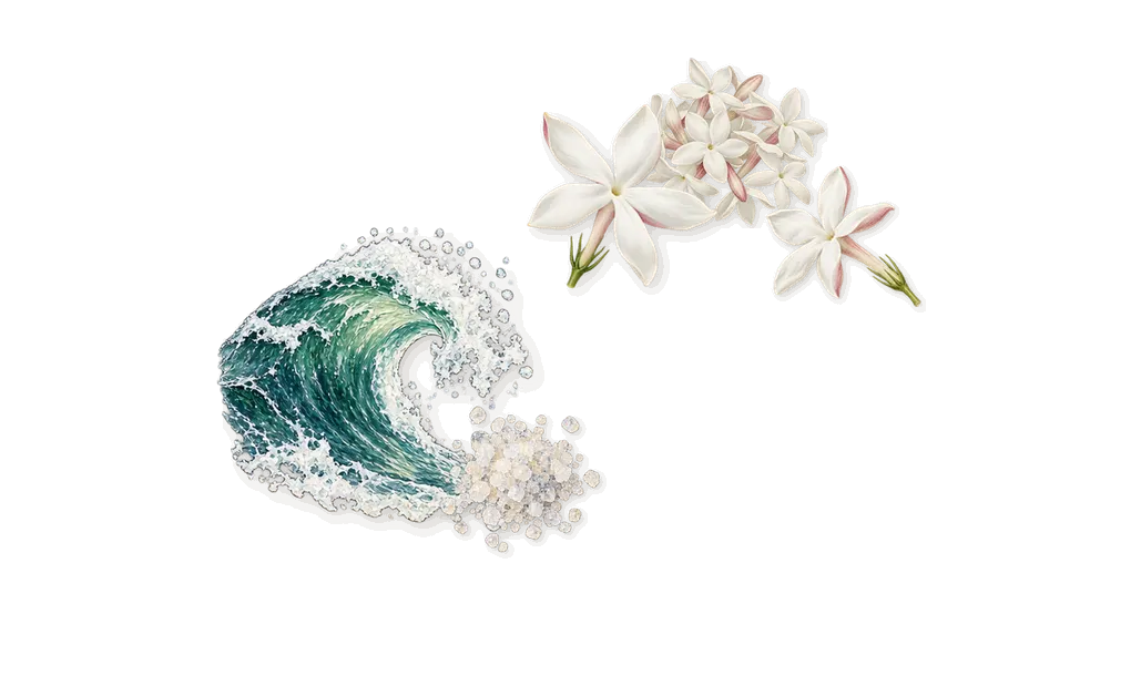 Beach, as it settles: Jasmine, Sea spray