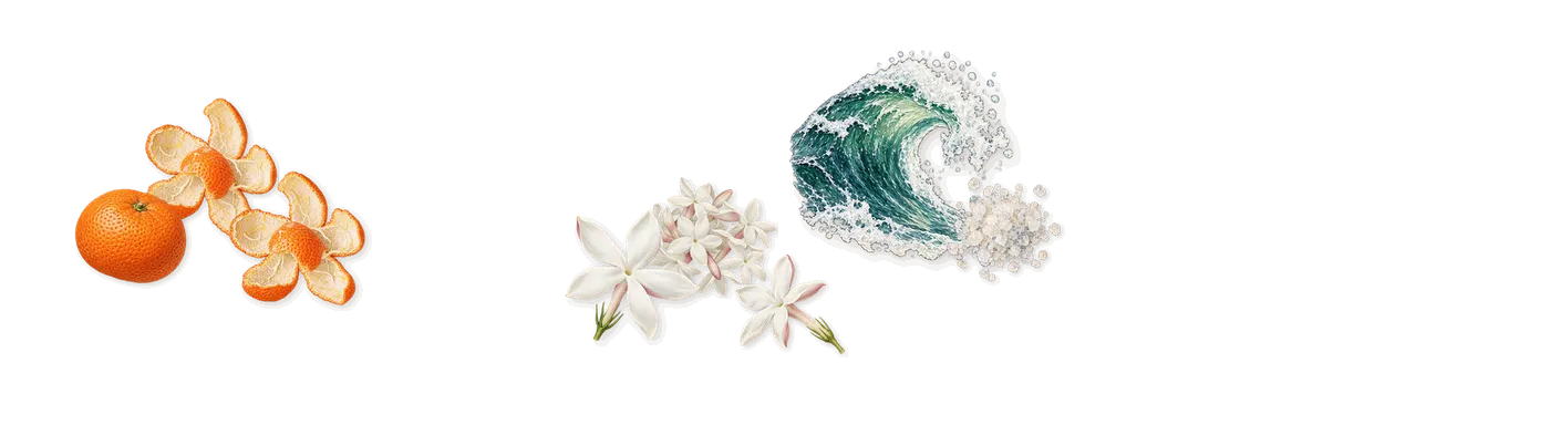 Beach’s scent picture, a draft: jasmine, sea spray, mandarin drawn so far; dashed outlines where nothing is drawn yet