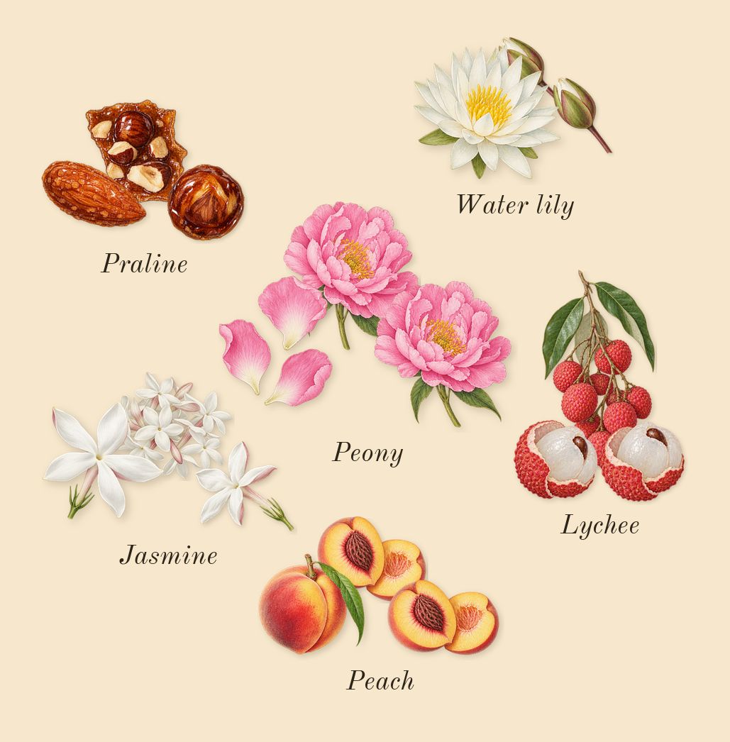 Greenwich Village, heart: Lychee, Peony, Water lily, Jasmine, Peach, Praline