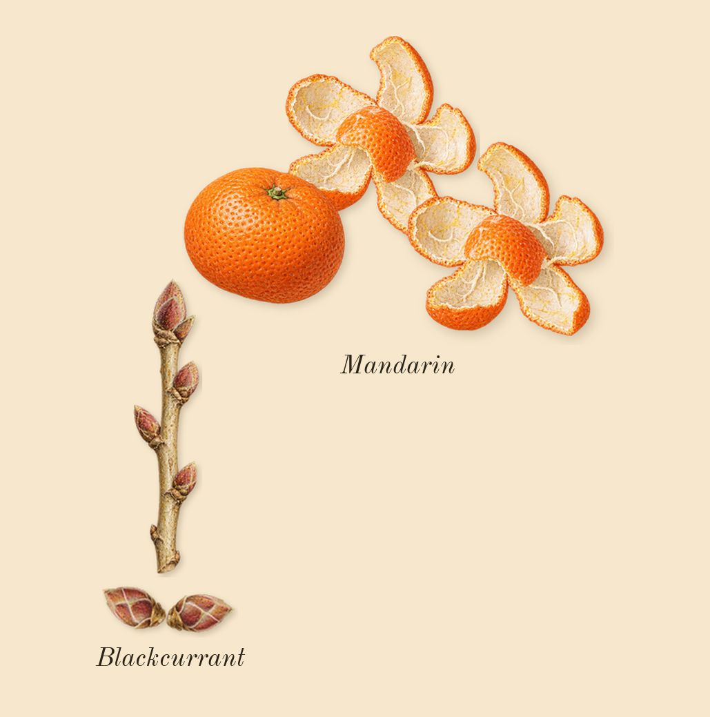 Greenwich Village, top notes: Blackcurrant, Mandarin
