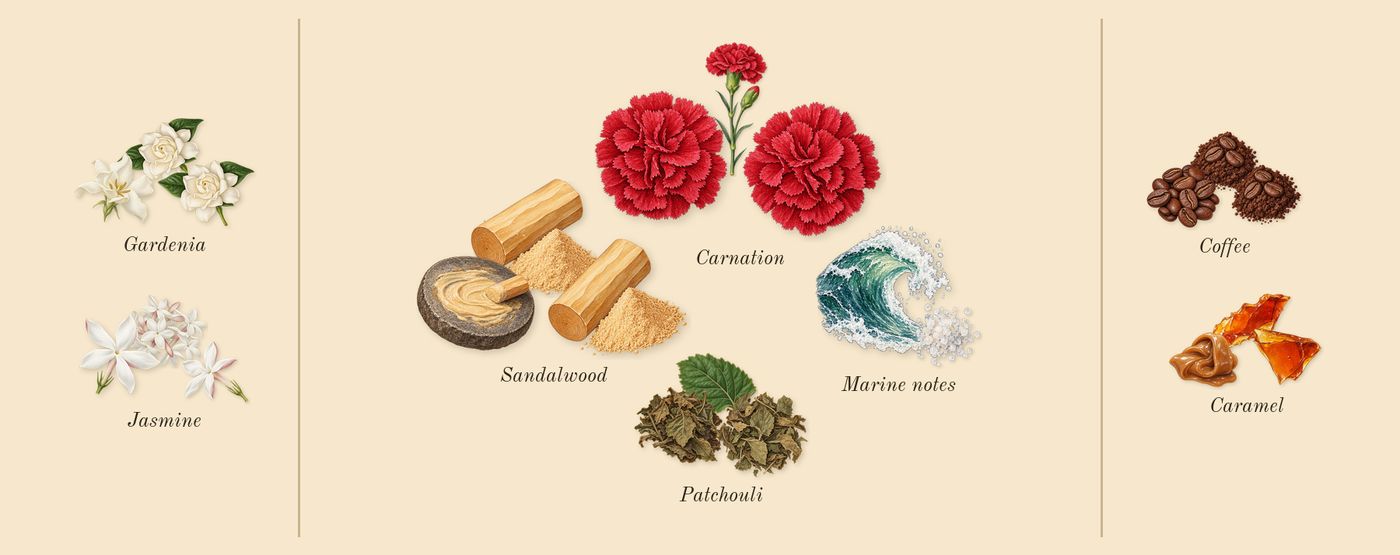 New York Nights’s scent picture, a draft: jasmine, gardenia, patchouli, sandalwood, marine notes, coffee drawn so far; dashed outlines where nothing is drawn yet