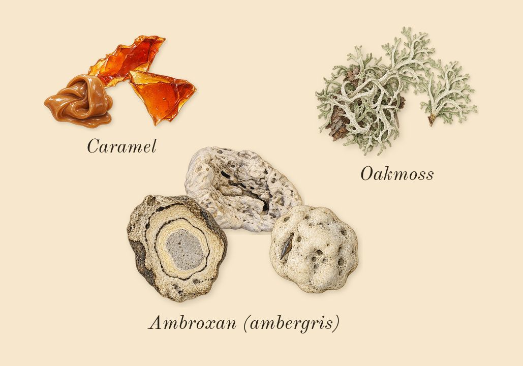 TriBeCa, dry-down: Ambroxan (ambergris), Oakmoss, Caramel