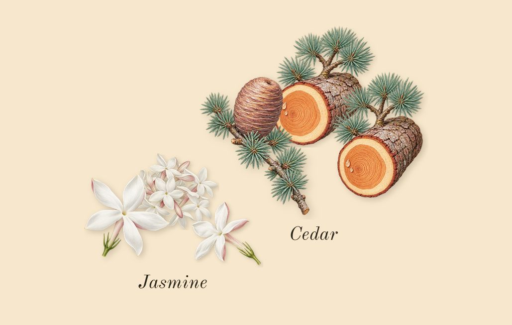 TriBeCa, heart: Jasmine, Cedar