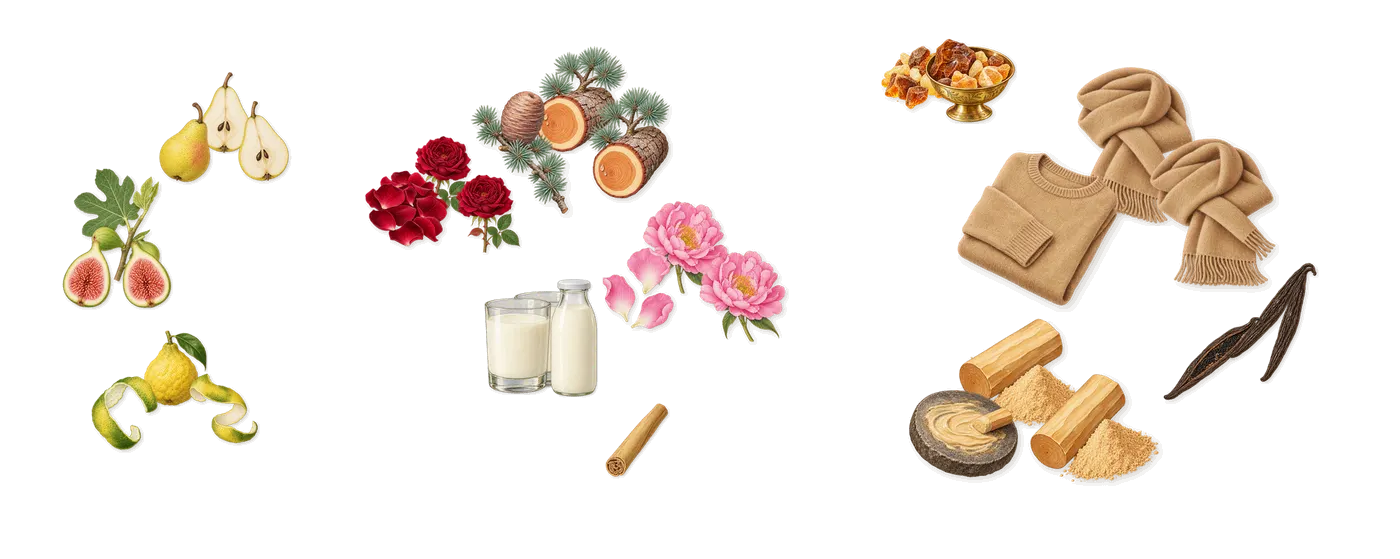 Fig Porn’s scent picture, a draft: fig, pear, bergamot, cedar, peony, rose drawn so far; dashed outlines where nothing is drawn yet