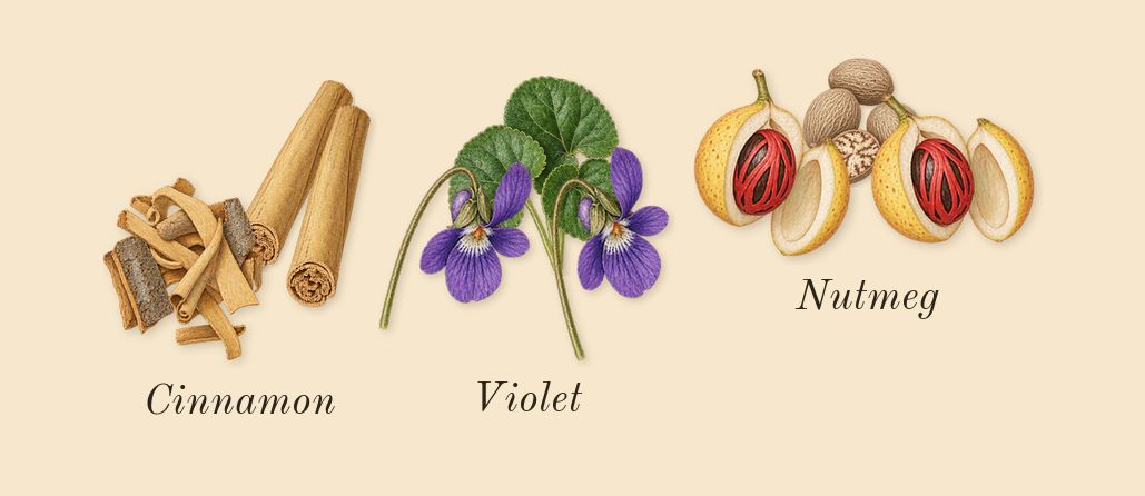 Jaïpur Homme, heart: Cinnamon, Nutmeg, Violet